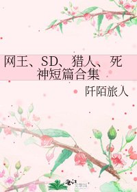 《網王、SD、獵人、死神短篇合集》