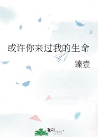 《或許你來過我的生命》