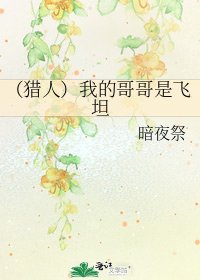 《(獵人)我的哥哥是飛坦》