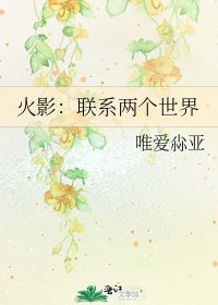 《火影:聯絡兩個世界》
