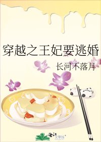 《穿越之王妃要逃婚》