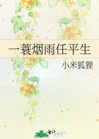 《一蓑煙雨任平生》