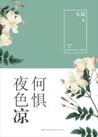 《何懼夜色涼》