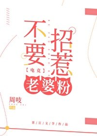 《不要招惹老婆粉》