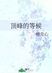 《頂峰的等候》