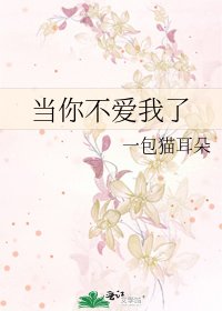 《當你不愛我了》