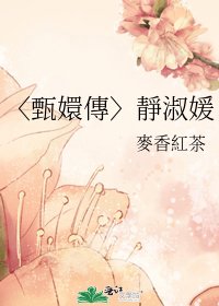 〈甄嬛傳〉靜淑媛