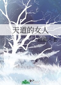 《天道的女人》