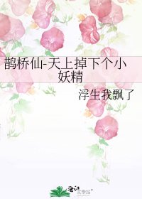 《鵲橋仙-天上掉下個小妖精》