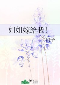 《姐姐嫁給我!》