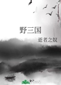 野三國