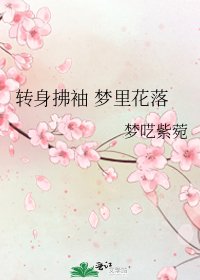 《轉身拂袖 夢裡花落》