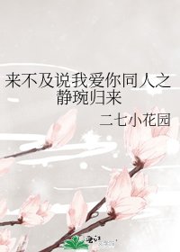 《來不及說我愛你同人之靜琬歸來》