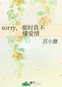 《sorry,那時我不懂愛情》