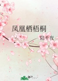 《鳳凰棲梧桐》