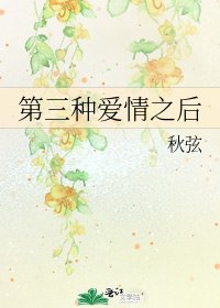 《第三種愛情之後》