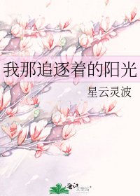 《我那追逐著的陽光》