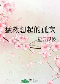《猛然想起的孤寂》