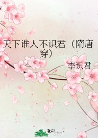 《天下誰人不識君(隋唐穿)》