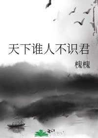 《天下誰人不識君》