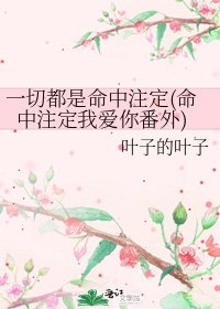《一切都是命中註定(命中註定我愛你番外)》
