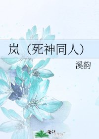 《嵐(死神同人)》