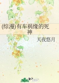 《(綜漫)有車禍緣的死神》
