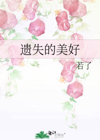 《遺失的美好》