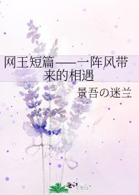 《網王短篇——一陣風帶來的相遇》