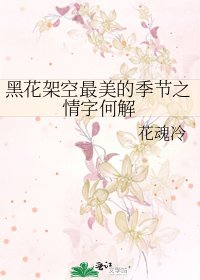 《黑花架空最美的季節之情字何解》
