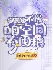 《抄家流放?不慌,咱空間有囤糧》