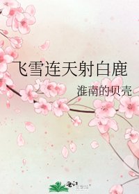 《飛雪連天射白鹿》