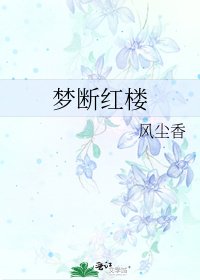 夢斷紅樓