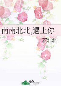 《南南北北,遇上你》