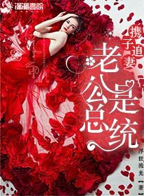 《攜子追妻:老公是總統》