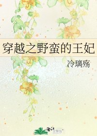 《穿越之野蠻的王妃》