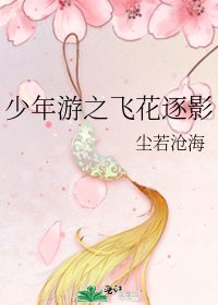 《少年遊之飛花逐影》