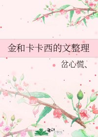 《金和卡卡西的文整理》