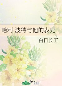 《哈利·波特與他的表兄》