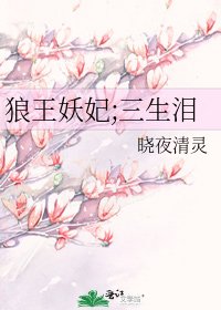 《狼王妖妃;三生淚》