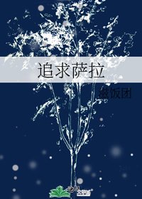 《追求薩拉》