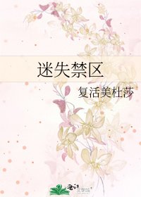 《迷失禁區》