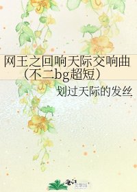 《網王之迴響天際交響曲(不二bg超短)》