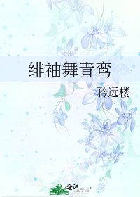 《緋袖舞青鸞》