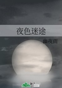 《夜色迷途》