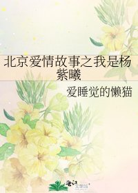 《北京愛情故事之我是楊紫曦》