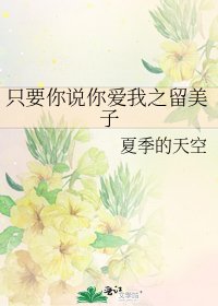 《只要你說你愛我之留美子》