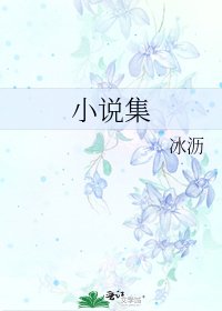 《集》