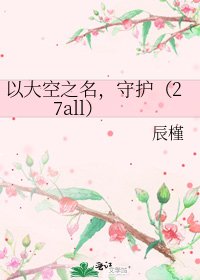 《以大空之名,守護(27all)》