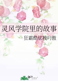 《靈風學院裡的故事》